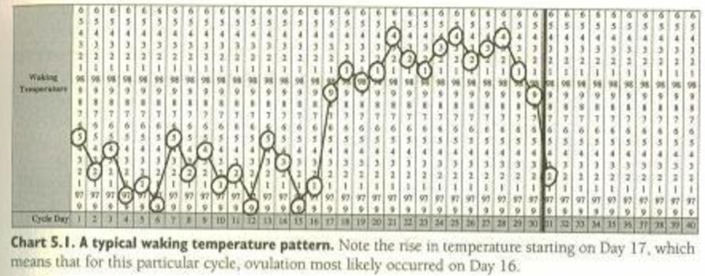 temperature chart