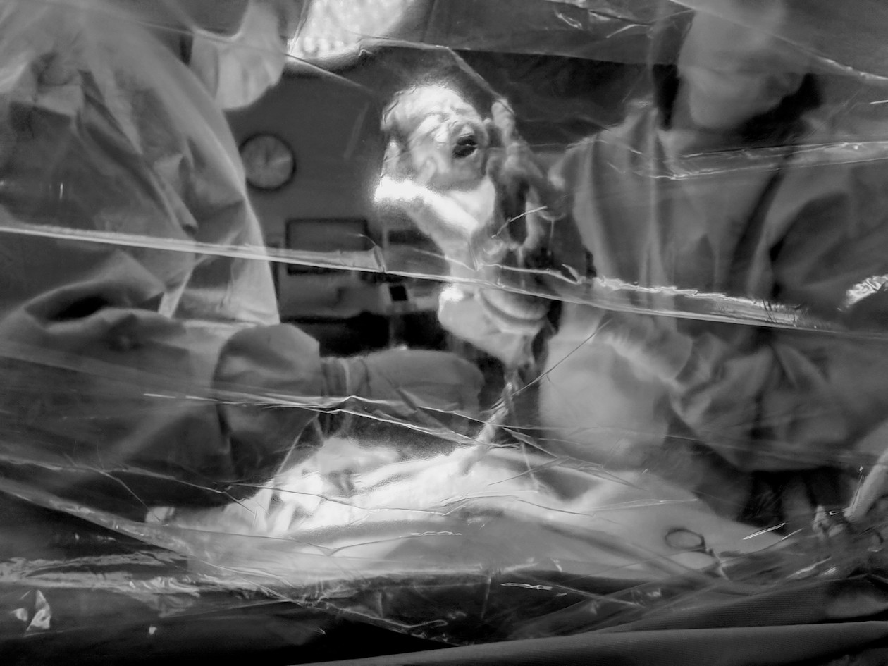 Planned Cesarean Birth